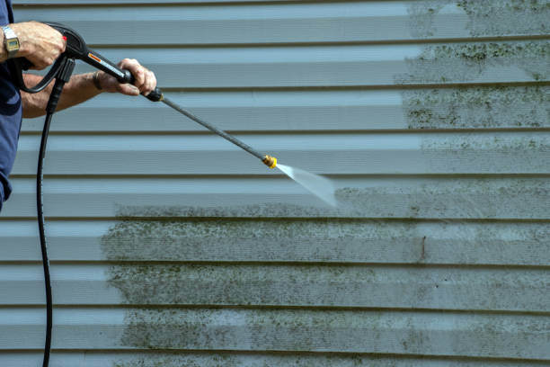 Best Roof Pressure Washing  in Centerville, SC